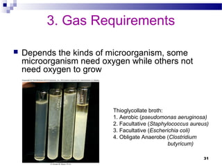  Depends the kinds of microorganism, some
microorganism need oxygen while others not
need oxygen to grow
3. Gas Requirements
31
Thioglycollate broth:
1. Aerobic (pseudomonas aeruginosa)
2. Facultative (Staphylococcus aureus)
3. Facultative (Escherichia coli)
4. Obligate Anaerobe (Clostridium
butyricum)
 