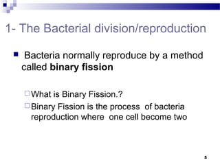 1- The Bacterial division/reproduction
 Bacteria normally reproduce by a method
called binary fission
What is Binary Fission.?
Binary Fission is the process of bacteria
reproduction where one cell become two
5
 