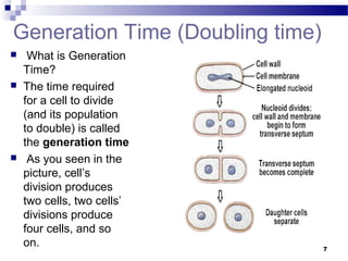 Generation Time (Doubling time)
 What is Generation
Time?
 The time required
for a cell to divide
(and its population
to double) is called
the generation time
 As you seen in the
picture, cell’s
division produces
two cells, two cells’
divisions produce
four cells, and so
on. 7
 