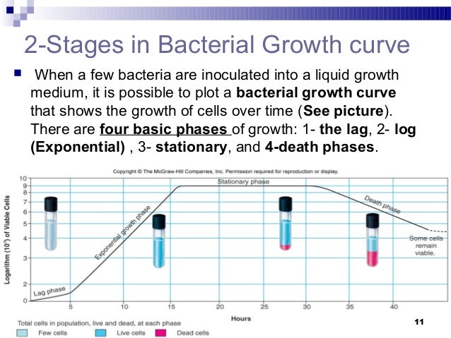microbial growth