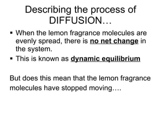 When the lemon fragrance molecules are evenly spread, there is  no net change  in the system.  This is known as  dynamic equilibrium But does this mean that the lemon fragrance molecules have stopped moving…. ? Describing the process of DIFFUSION… 