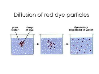 Diffusion of red dye particles 