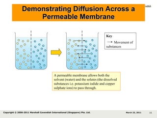 Demonstrating Diffusion Across a Permeable Membrane A permeable membrane allows both the solvent (water) and the solutes (the dissolved substances i.e. potassium iodide and copper sulphate ions) to pass through. Key Movement of substances March 23, 2011 Copyright © 2006-2011 Marshall Cavendish International (Singapore) Pte. Ltd.  