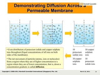 Demonstrating Diffusion Across a Permeable Membrane 10 potassium iodide ions 10 copper sulphate ions 10 potassium iodide ions 10 copper sulphate ions Even distribution of potassium iodide and copper sulphate ions throughout (Equal concentrations of all ions on both sides of the membrane). The net movement of particles (atoms, ions or molecules) from a region where they are of higher concentration to a region where they are of lower concentration, that is, down a concentration gradient, is called  diffusion . March 23, 2011 Copyright © 2006-2011 Marshall Cavendish International (Singapore) Pte. Ltd.  