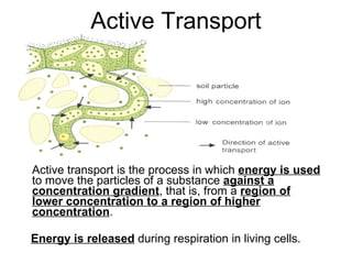 Active Transport Active transport is the process in which  energy is used  to move the particles of a substance  against a concentration gradient , that is, from a  region of lower concentration to a region of higher concentration .  Energy is released  during respiration in living cells. 