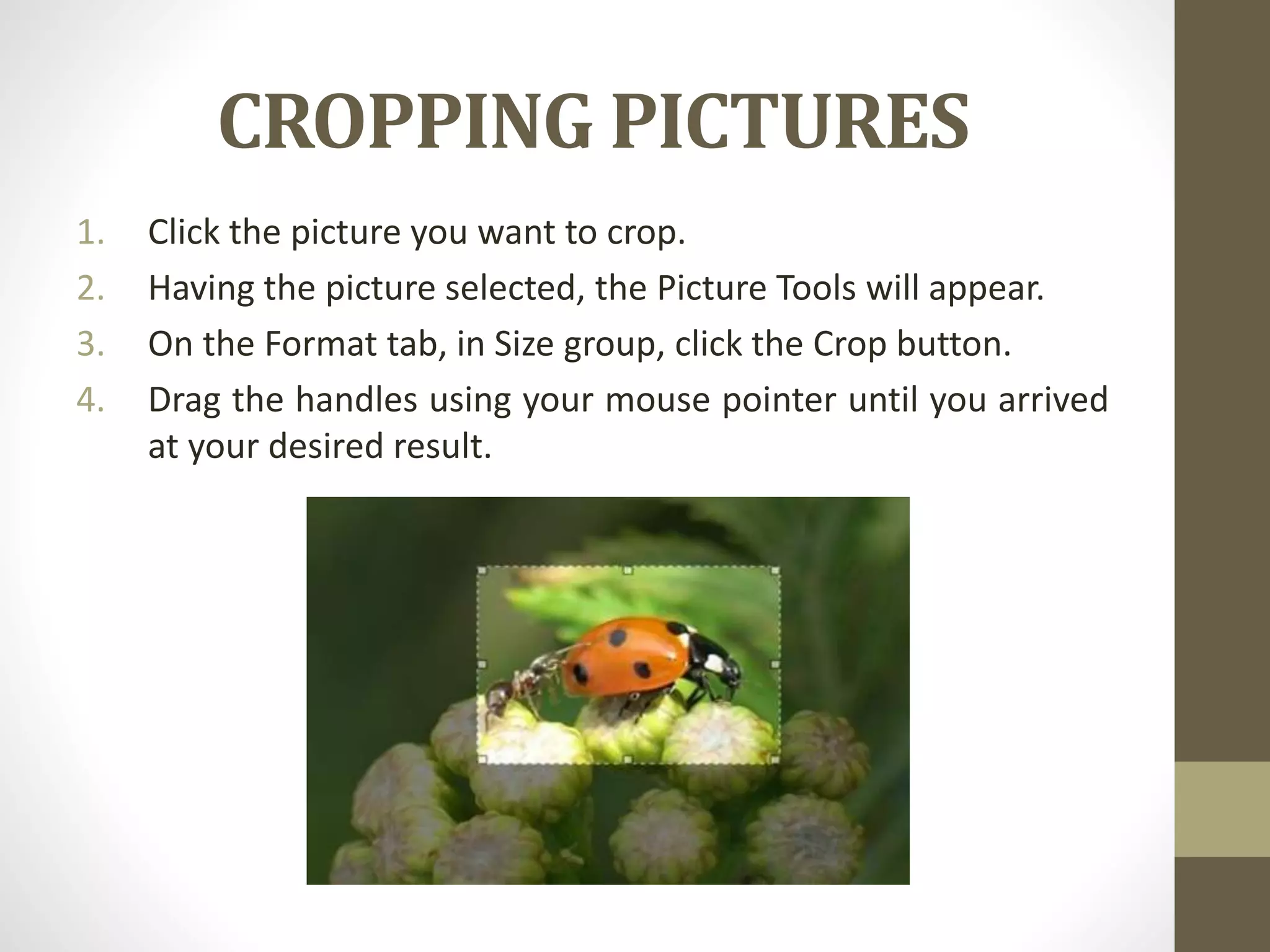 CROPPING PICTURES
1. Click the picture you want to crop.
2. Having the picture selected, the Picture Tools will appear.
3. On the Format tab, in Size group, click the Crop button.
4. Drag the handles using your mouse pointer until you arrived
at your desired result.
 