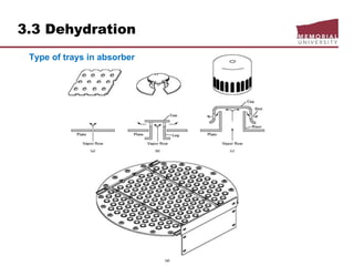 3.3 Dehydration
Type of trays in absorber
 