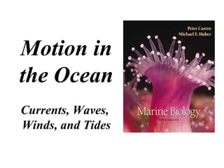   Motion in the Ocean Currents, Waves,  Winds, and Tides 