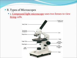 B. Types of Microscopes 1.  Compound light microscope -uses two lenses to view  living  cells 