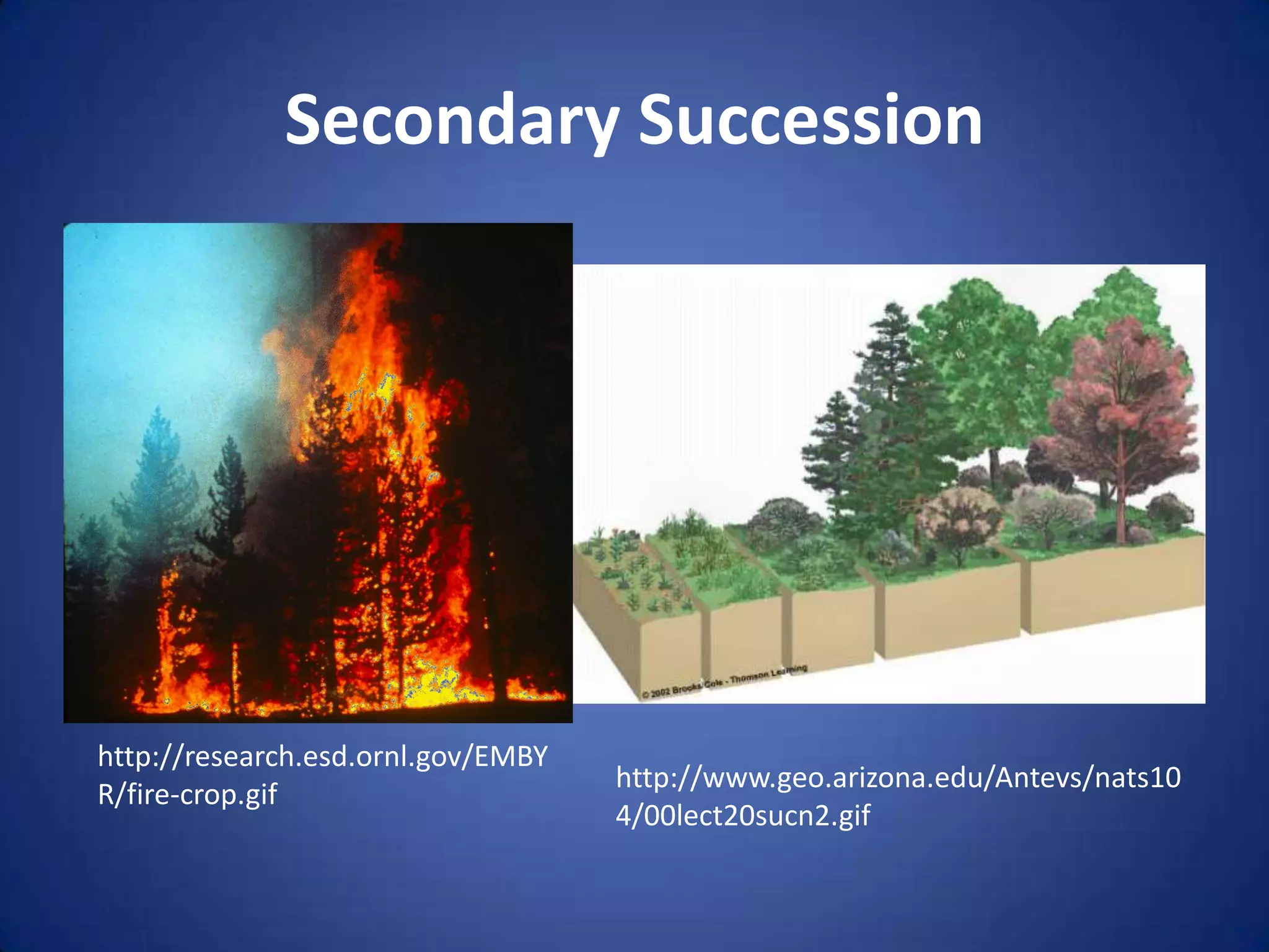Secondary Successionhttp://research.esd.ornl.gov/EMBYR/fire-crop.gifhttp://www.geo.arizona.edu/Antevs/nats104/00lect20sucn2.gif