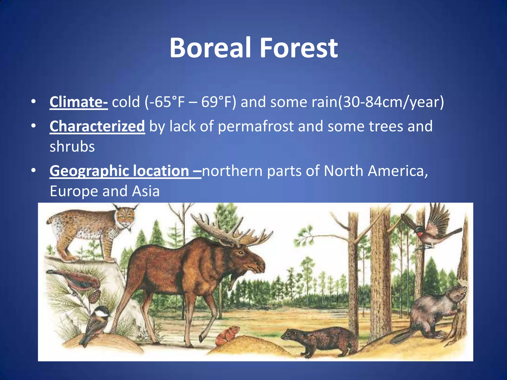 Boreal ForestClimate- cold (-65°F – 69°F) and some rain(30-84cm/year)Characterized by lack of permafrost and some trees and shrubsGeographic location –northern parts of North America, Europe and Asia
