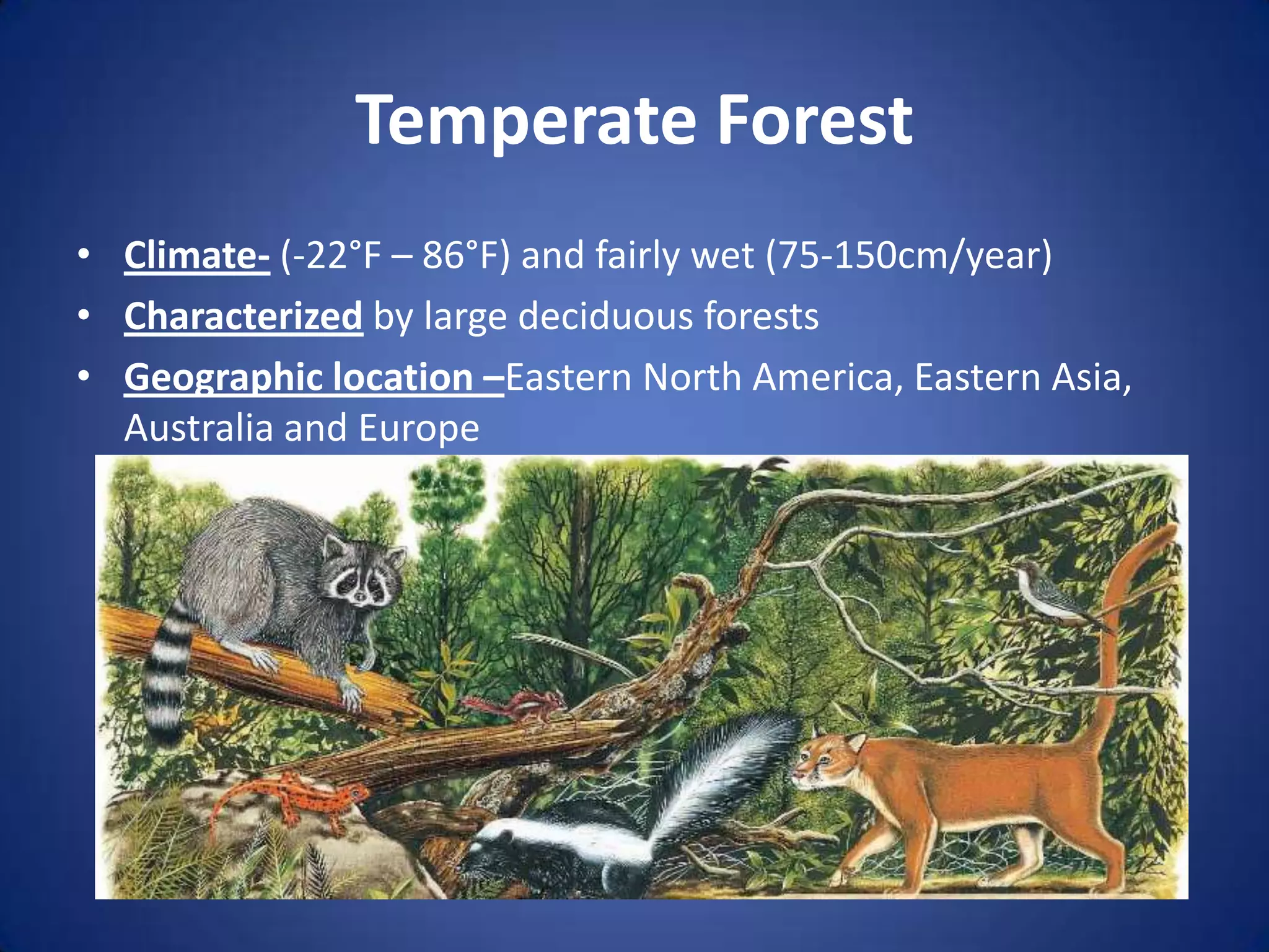 Temperate ForestClimate- (-22°F – 86°F) and fairly wet (75-150cm/year)Characterized by large deciduous forestsGeographic location –Eastern North America, Eastern Asia, Australia and Europe