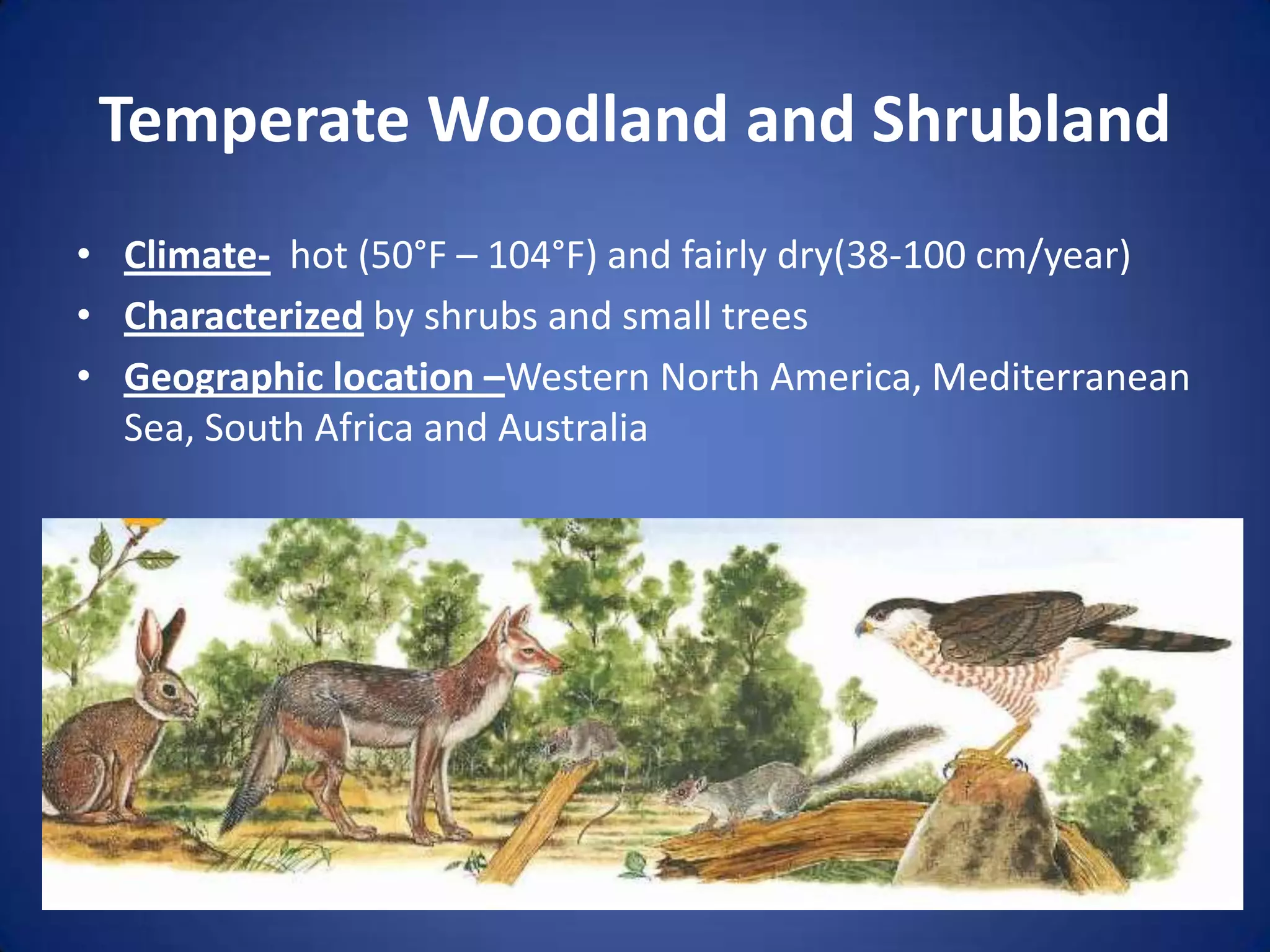 Temperate Woodland and ShrublandClimate-  hot (50°F – 104°F) and fairly dry(38-100 cm/year)Characterized by shrubs and small treesGeographic location –Western North America, Mediterranean Sea, South Africa and Australia