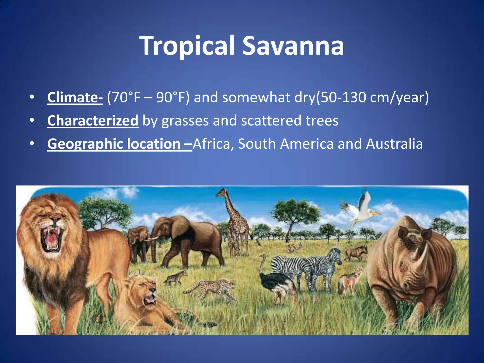 Tropical SavannaClimate- (70°F – 90°F) and somewhat dry(50-130 cm/year)Characterized by grasses and scattered treesGeographic location –Africa, South America and Australia