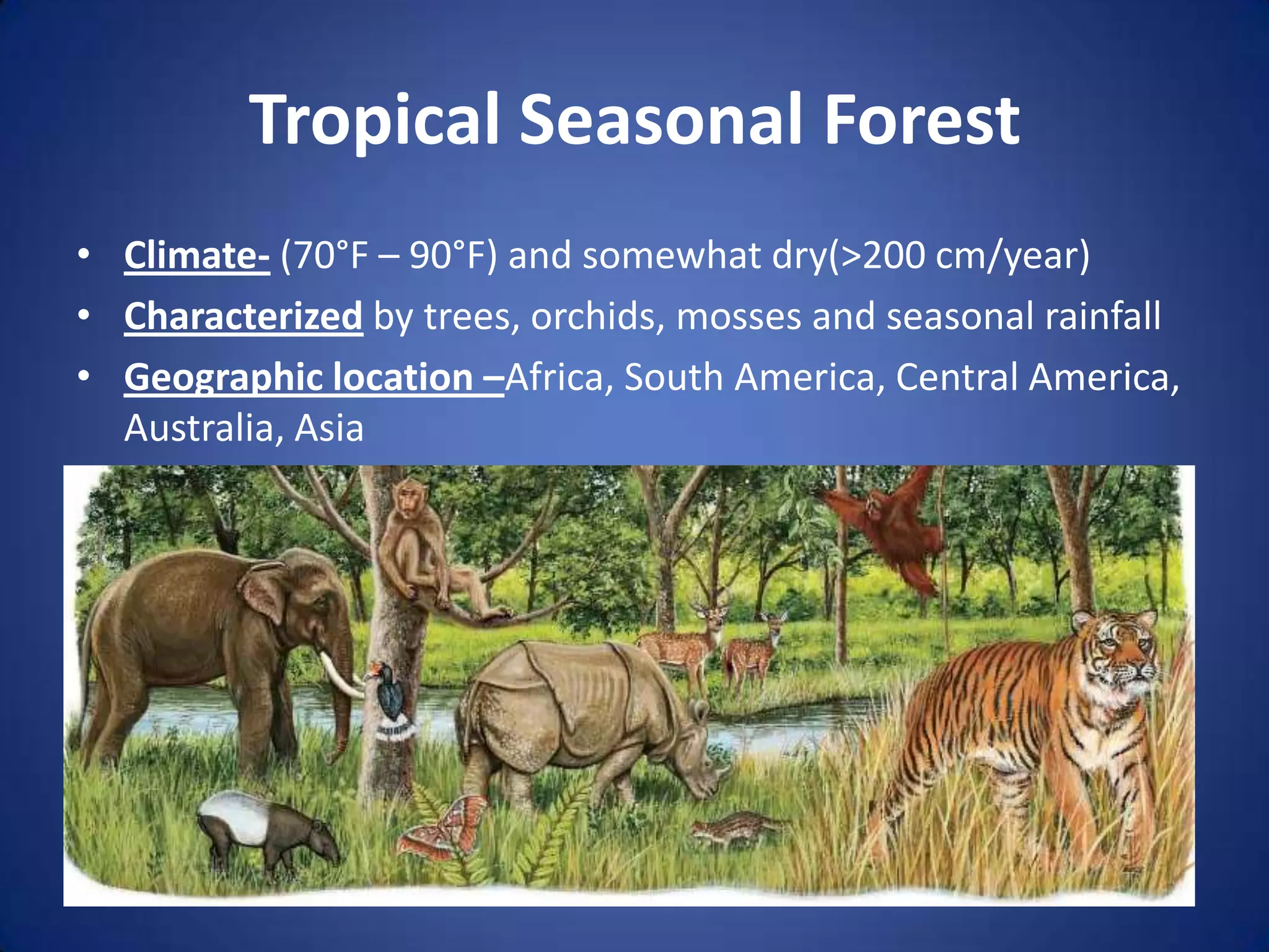 Tropical Seasonal ForestClimate- (70°F – 90°F) and somewhat dry(>200 cm/year)Characterized by trees, orchids, mosses and seasonal rainfallGeographic location –Africa, South America, Central America, Australia, Asia
