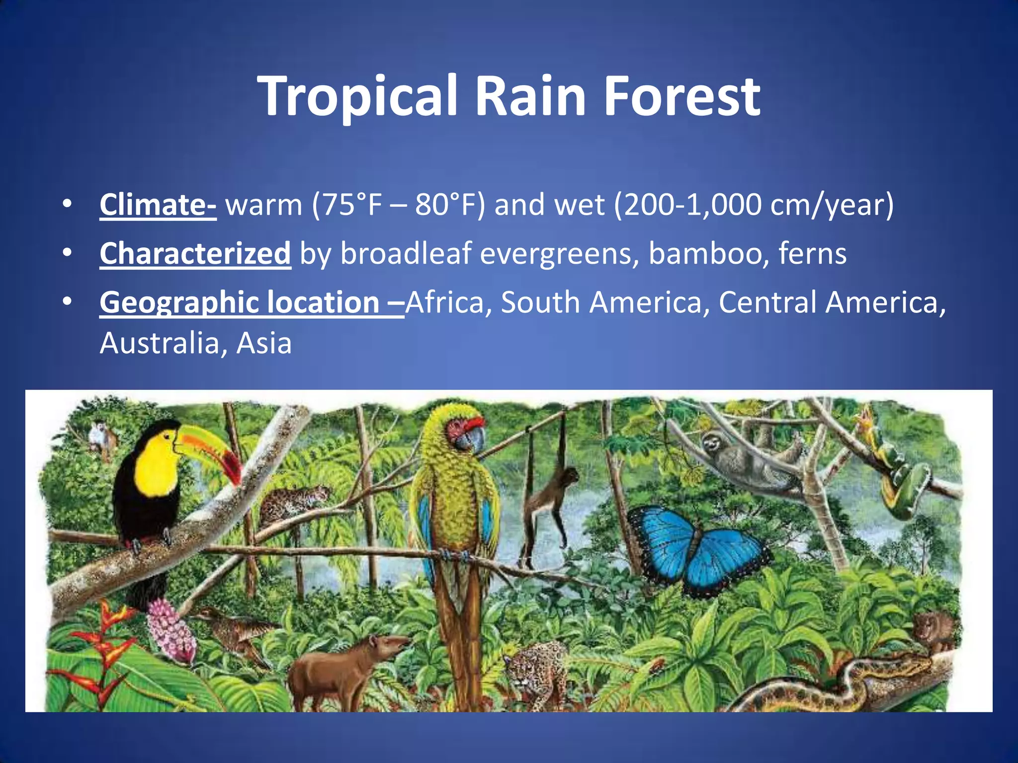Tropical Rain ForestClimate- warm (75°F – 80°F) and wet (200-1,000 cm/year)Characterized by broadleaf evergreens, bamboo, fernsGeographic location –Africa, South America, Central America, Australia, Asia