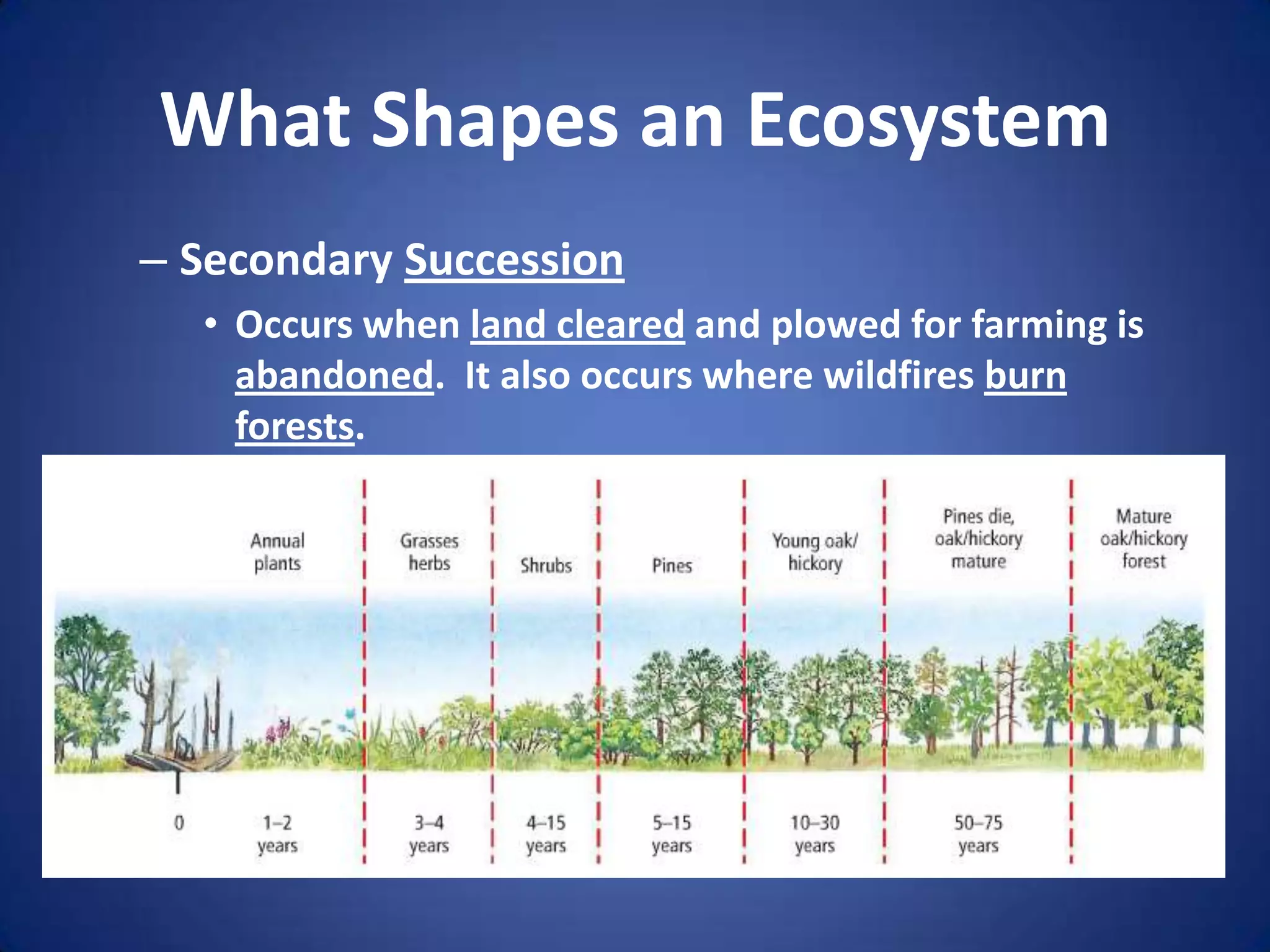 What Shapes an EcosystemSecondary SuccessionOccurs when land cleared and plowed for farming is abandoned.  It also occurs where wildfires burn forests.