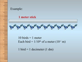 10 birds = 1 meter Each bird = 1/10 th  of a meter (10 -1  m) 1 bird = 1 decimeter (1 dm) Example: 1 meter stick 