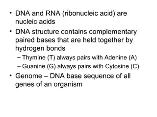 • DNA and RNA (ribonucleic acid) are
  nucleic acids
• DNA structure contains complementary
  paired bases that are held together by
  hydrogen bonds
  – Thymine (T) always pairs with Adenine (A)
  – Guanine (G) always pairs with Cytosine (C)
• Genome – DNA base sequence of all
  genes of an organism
 