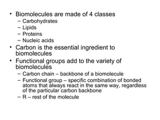 • Biomolecules are made of 4 classes
  –   Carbohydrates
  –   Lipids
  –   Proteins
  –   Nucleic acids
• Carbon is the essential ingredient to
  biomolecules
• Functional groups add to the variety of
  biomolecules
  – Carbon chain – backbone of a biomolecule
  – Functional group – specific combination of bonded
    atoms that always react in the same way, regardless
    of the particular carbon backbone
  – R – rest of the molecule
 