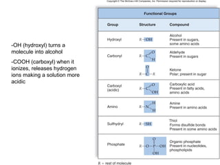 -OH (hydroxyl) turns a
molecule into alcohol
-COOH (carboxyl) when it
ionizes, releases hydrogen
ions making a solution more
acidic
 