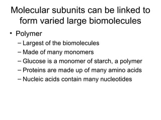 Molecular subunits can be linked to
 form varied large biomolecules
• Polymer
  – Largest of the biomolecules
  – Made of many monomers
  – Glucose is a monomer of starch, a polymer
  – Proteins are made up of many amino acids
  – Nucleic acids contain many nucleotides
 
