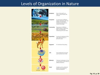 Levels of Organization in Nature




                                   Fig. 3-5, p. 58
 