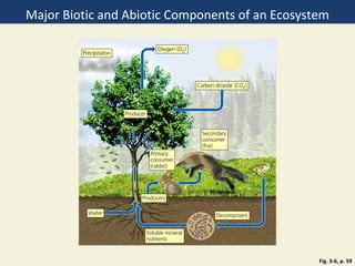 Major Biotic and Abiotic Components of an Ecosystem




                                                 Fig. 3-6, p. 59
 