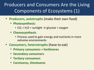 Producers and Consumers Are the Living
    Components of Ecosystems (1)
• Producers, autotrophs (make their own food)
  • Photosynthesis:
       • CO2 + H2O + sunlight → glucose + oxygen
  • Chemosynthesis
       • Process used to gain energy and nutrients in more
         extreme environments
• Consumers, heterotrophs (have to eat)
  •   Primary consumers = herbivores
  •   Secondary consumers
  •   Tertiary consumers
  •   Carnivores, Omnivores
 