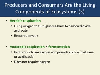 Producers and Consumers Are the Living
    Components of Ecosystems (3)
• Aerobic respiration
   • Using oxygen to turn glucose back to carbon dioxide
     and water
   • Requires oxygen


• Anaerobic respiration = fermentation
   • End products are carbon compounds such as methane
     or acetic acid
   • Does not require oxygen
 