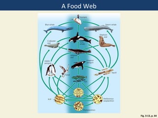 A Food Web




             Fig. 3-13, p. 64
 