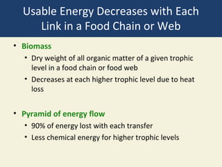 Usable Energy Decreases with Each
     Link in a Food Chain or Web
• Biomass
  • Dry weight of all organic matter of a given trophic
    level in a food chain or food web
  • Decreases at each higher trophic level due to heat
    loss


• Pyramid of energy flow
  • 90% of energy lost with each transfer
  • Less chemical energy for higher trophic levels
 