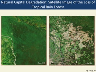 Natural Capital Degradation: Satellite Image of the Loss of
                   Tropical Rain Forest




                                                     Fig. 3-1a, p. 54
 