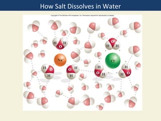 How Salt Dissolves in Water
 