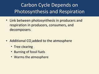 Carbon Cycle Depends on
     Photosynthesis and Respiration
• Link between photosynthesis in producers and
  respiration in producers, consumers, and
  decomposers

• Additional CO2 added to the atmosphere
  • Tree clearing
  • Burning of fossil fuels
  • Warms the atmosphere
 