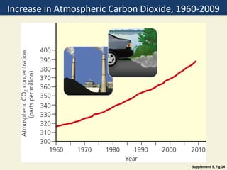 Increase in Atmospheric Carbon Dioxide, 1960-2009




                                          Supplement 9, Fig 14
 