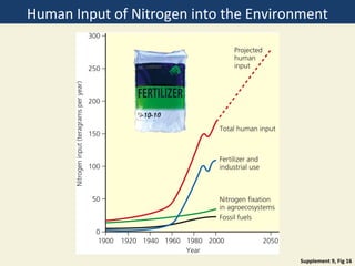 Human Input of Nitrogen into the Environment




                                       Supplement 9, Fig 16
 