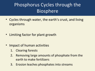 Phosphorus Cycles through the
              Biosphere
• Cycles through water, the earth’s crust, and living
  organisms

• Limiting factor for plant growth

• Impact of human activities
   1. Clearing forests
   2. Removing large amounts of phosphate from the
      earth to make fertilizers
   3. Erosion leaches phosphates into streams
 