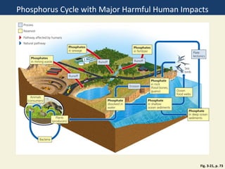 Phosphorus Cycle with Major Harmful Human Impacts




                                              Fig. 3-21, p. 73
 