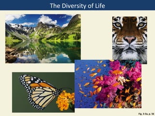 The Diversity of Life




                        Fig. 3-3a, p. 56
 