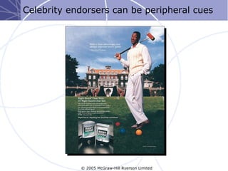 Celebrity endorsers can be peripheral cues




            © 2005 McGraw-Hill Ryerson Limited
 