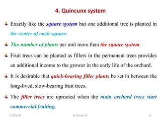 Quincunx System.drawing Comprehensive Guide to Planning and Establishing Fruit Orchards for ...