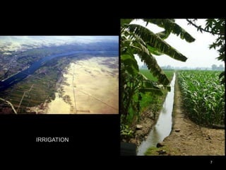 IRRIGATION
7
 