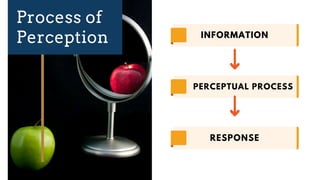 Chapter 3 PERCEPTION (1).pptx