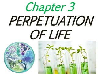 Chapter 3
PERPETUATION
OF LIFE
 