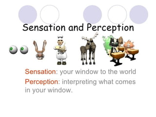 Person perception behavioural psychology | PPTX
