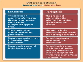 Person perception behavioural psychology | PPTX