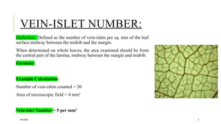 Islet Example CHAPTER 3 PG BY GG QUALITY CONTROL OF CRUDE DRUG | PPTX