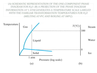 (A) SCHEMATIC REPRESENTATION OF THE ONE-COMPONENT PHASE
DIAGRAM FOR H2O. (B) A PROJECTION OF THE PHASE DIAGRAM
INFORMATION AT 1 ATM GENERATES A TEMPERATURE SCALE LABELED
WITH THE FAMILIAR TRANSFORMATION TEMPERATURES FOR H2O
(MELTING AT 0°C AND BOILING AT 100°C).
 