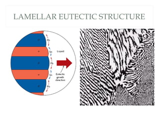 LAMELLAR EUTECTIC STRUCTURE
 